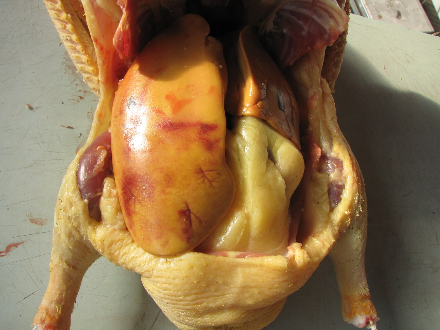 ПРОДУКТЫ ГАВАЖА